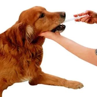 Jeringa dispensadora para mascotas Petcare